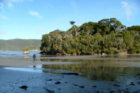 South Sea Hotel - Stewart Island Half-moon Bay Exteriér fotografie